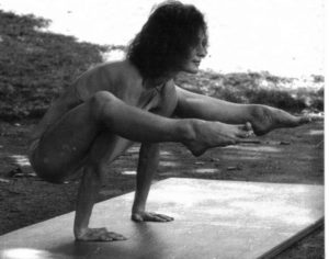 équilibre sur les bras-posture du corbeau-yvette clouet équilibre sur les bras-posture du corbeau-yvette clouet
