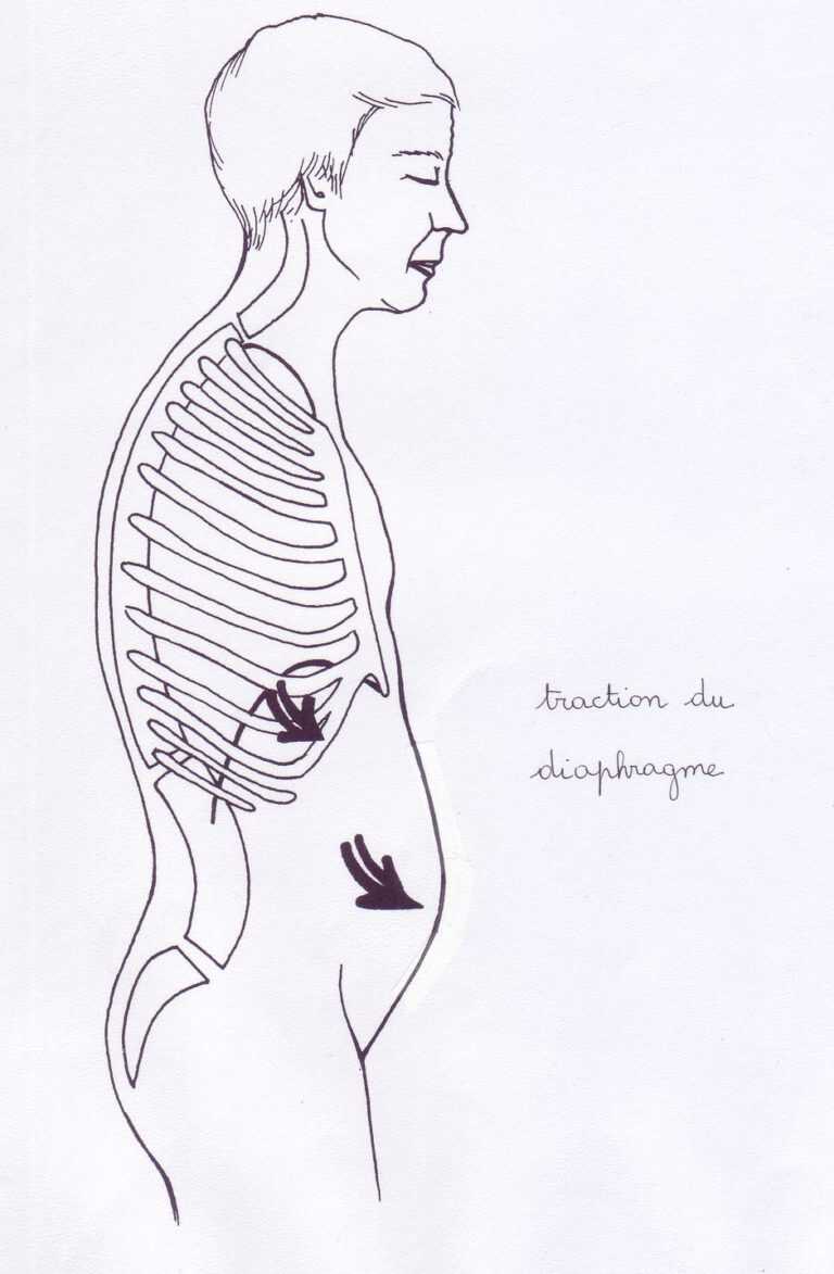 Yoga Diaphragme Bloqué Pourquoi Mon Diaphragme Devient Plat AJRUZ — free download