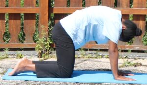 Arrondir le dos, à 4 pattes pour l'assouplir en toute sécurité-Exercice de Yoga-Yvette Clouet