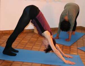 Chien tête en bas - Cours Yoga Marseille 13005 Yvette Clouet Chien tête en bas - Cours Yoga Marseille 13005 Yvette Clouet