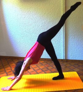 Chien tête en bas- Yvette Clouet - Cours et Stages-Yoga-Yvette Clouet-Marseille-5e