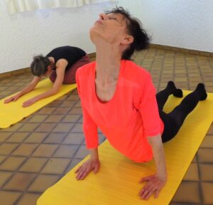 Chien tête en haut-Yvette Clouet-Cours et stages de yoga-Marseille 5è-