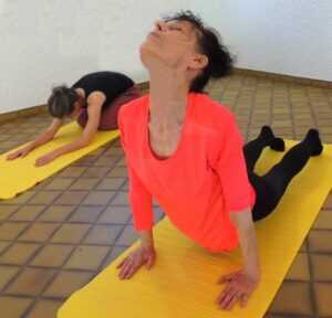 Chien tête en haut et Contre-posture - Cours et Stages-Yoga-Yvette Clouet-Marseille-5e