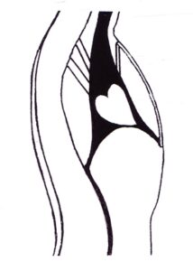 Les ligaments du cœur - Livre Libérer le Cœur- Yvette Clouet