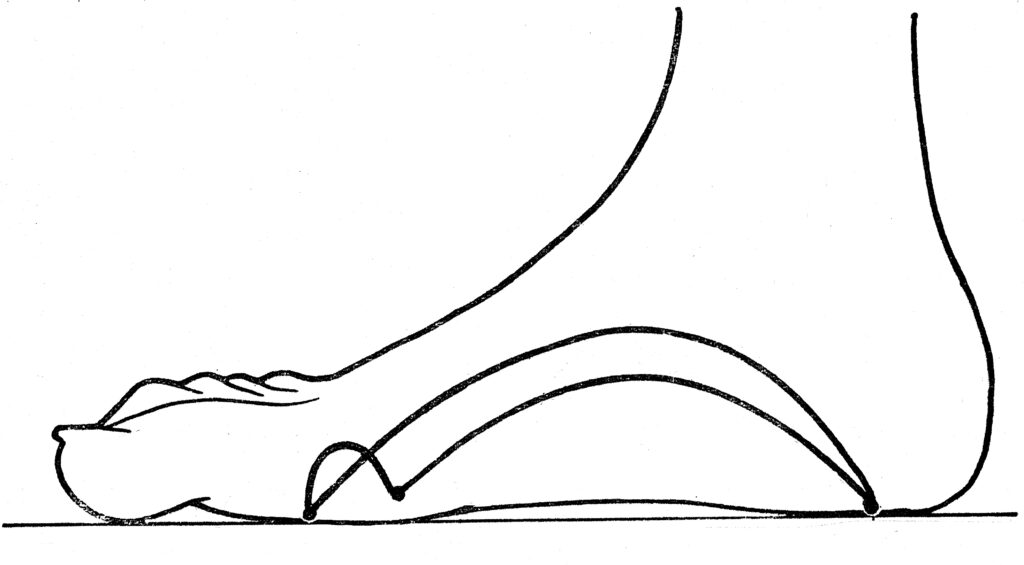 La voûte plantaire Habiter son Corps Cours et Stages de Yoga