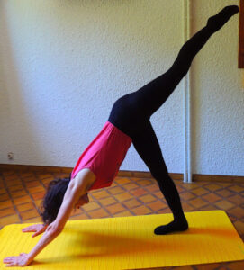 Chien tête en bas-Yvette Clouet-Cours et stages de yoga-Marseille 5è-